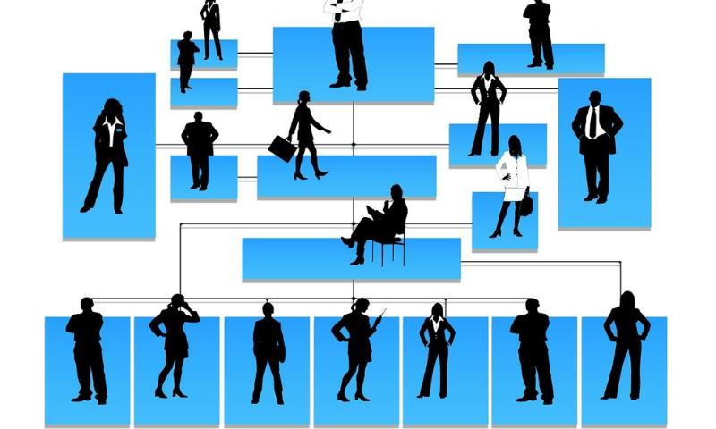 organizational structure